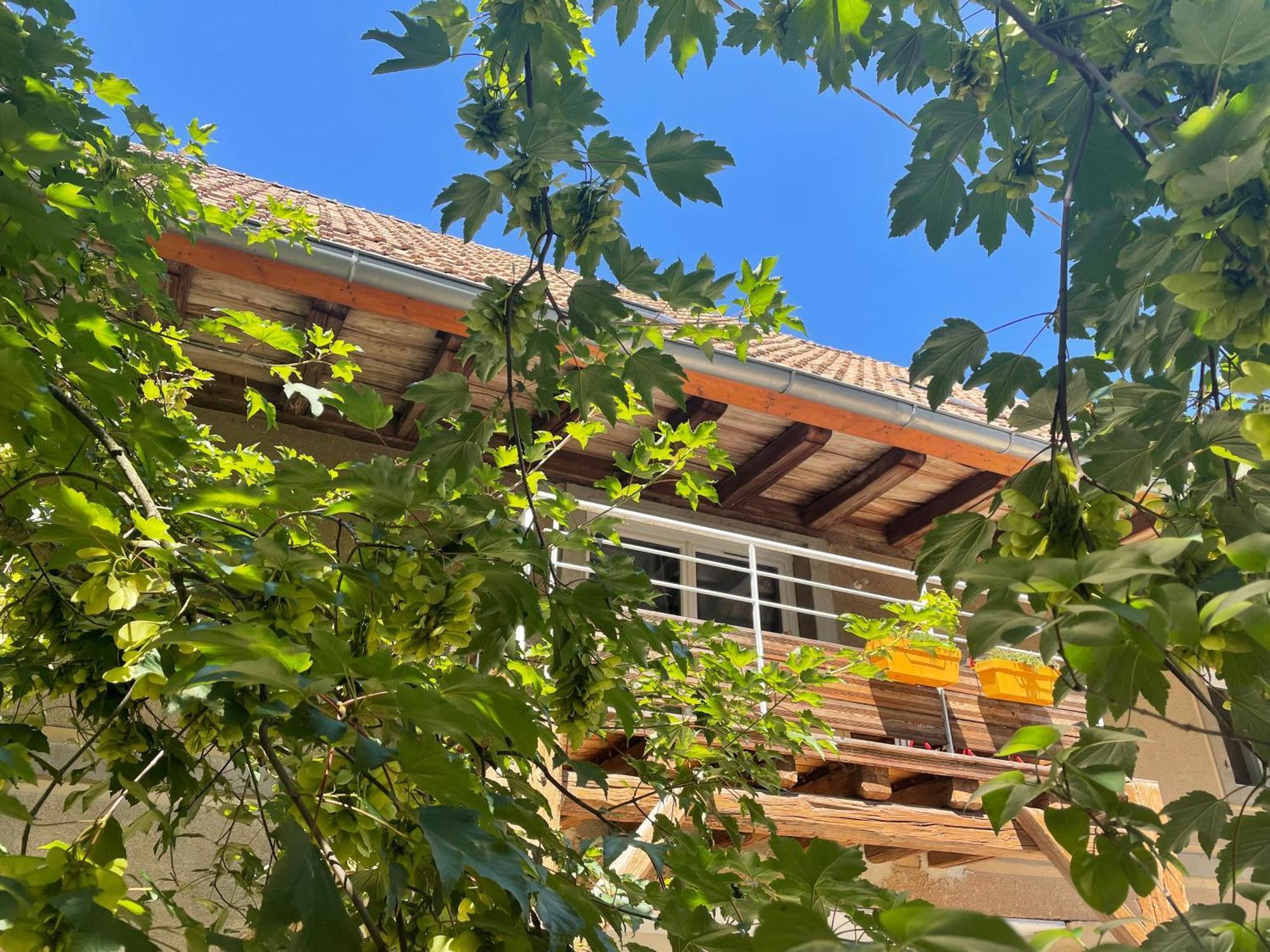 La Grange De Sophie Apartamento Berstett Exterior foto